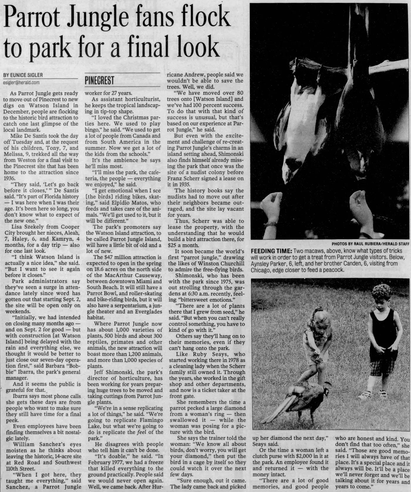 Miami Herald scan of "Parrot Jungle fans flock to park for a final look", printed page 50W